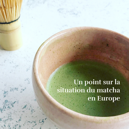 Un point sur la situation du matcha en Europe