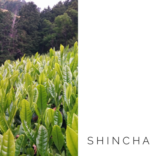 Réservez le thé shincha !
