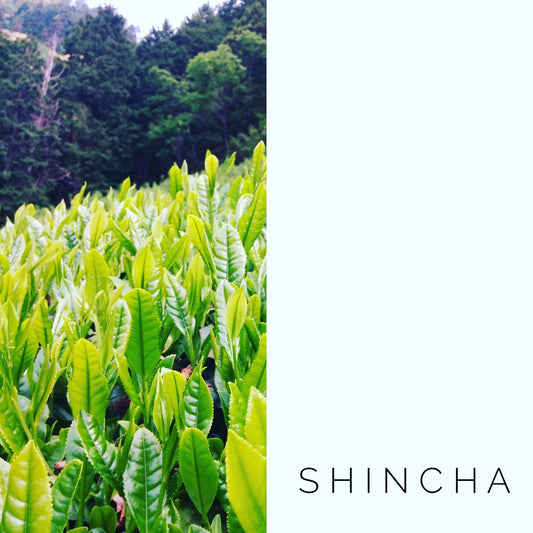 Réservez le thé shincha !