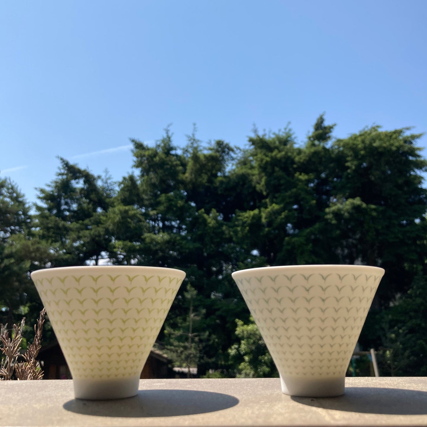 Tea cup