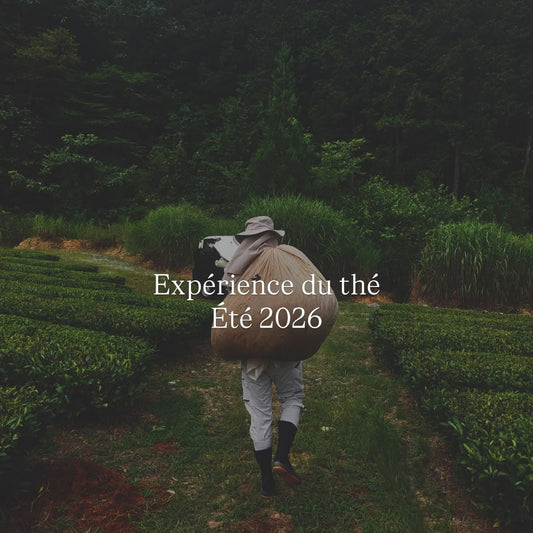 Expérience du thé, été 2026