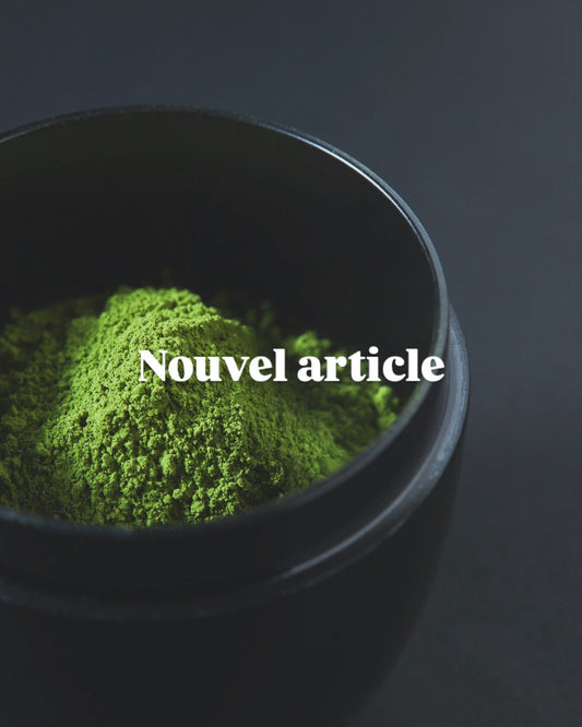 Guide pour choisir le matcha le plus adapté à votre consommation