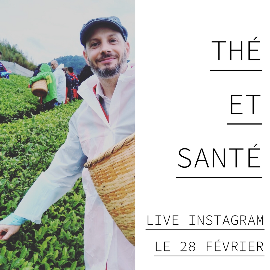 Instagram live : thé et santé