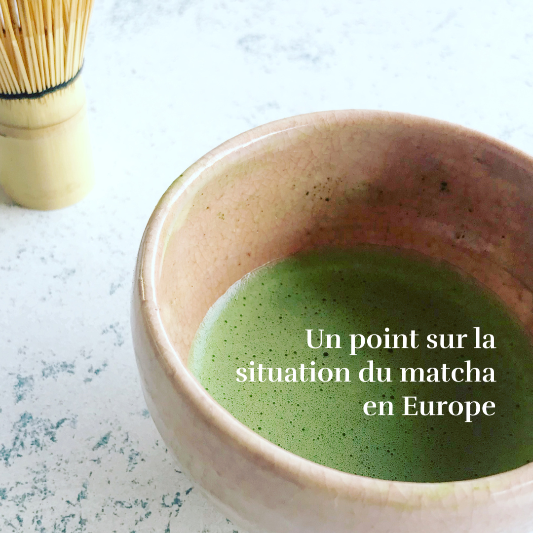 Un point sur la situation du matcha en Europe