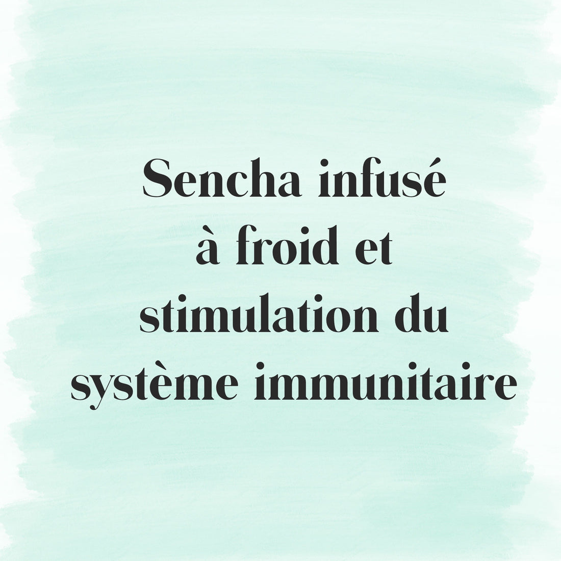 Sencha infusé à froid et stimulation du système immunitaire