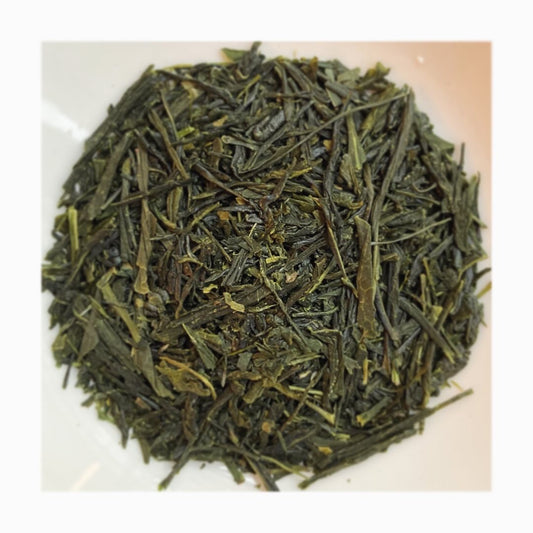 Centenary Sencha Zaïraï 百年在来