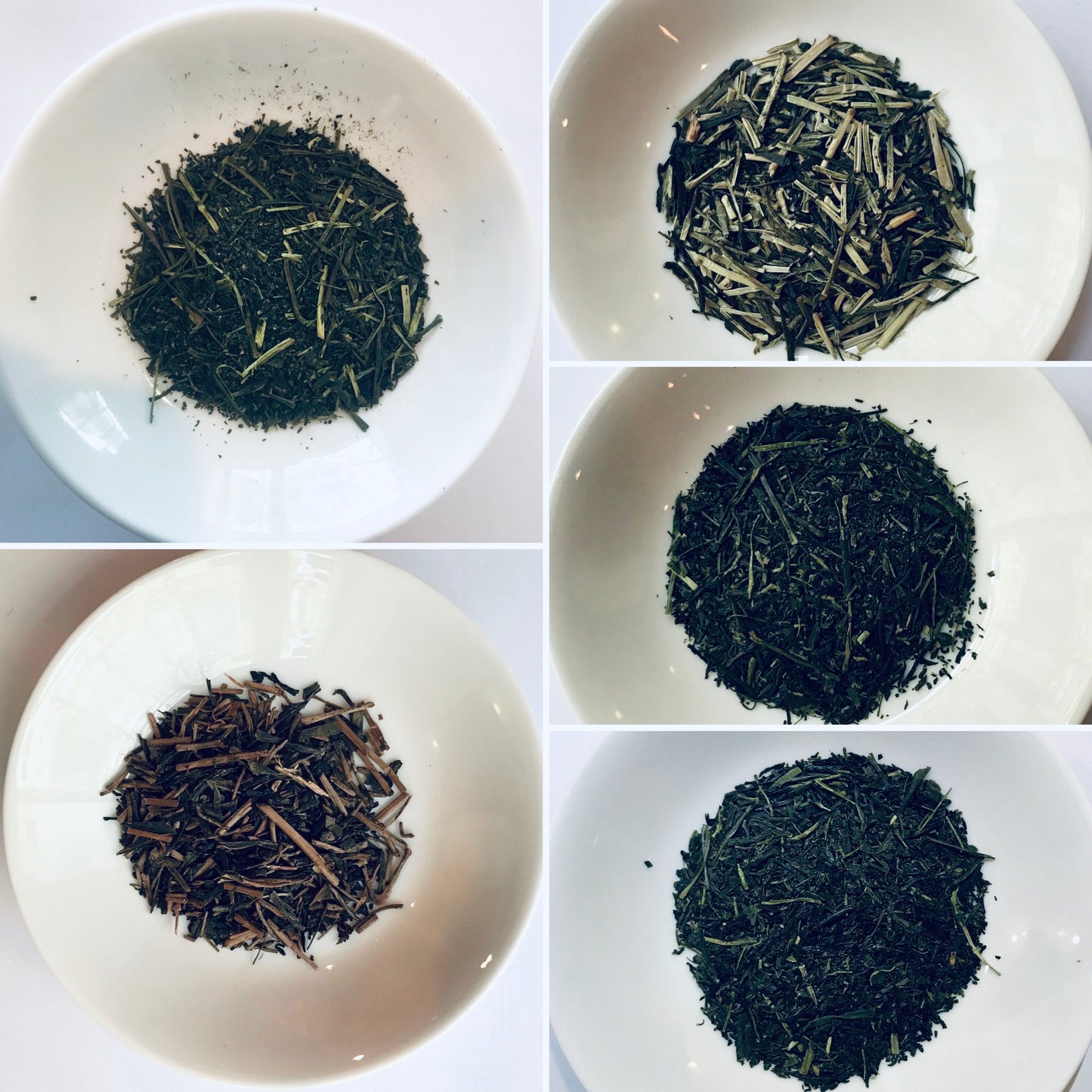 Tasting Assortment of 5 Different Kinds of Tea